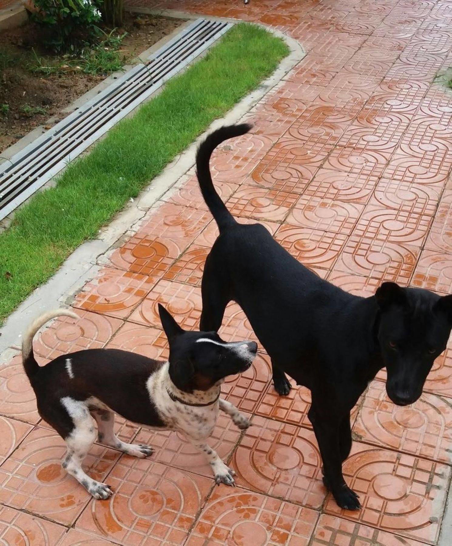 Spayhiti Sihanoukville Dış mekan fotoğraf